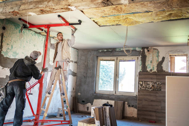 Best Insulation for New Construction  in Brownfields, LA