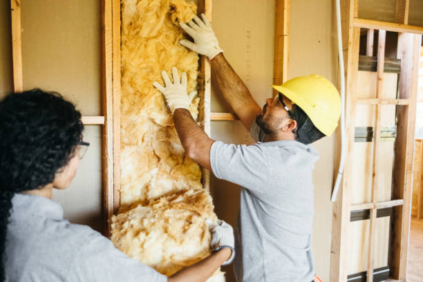 Best Crawl Space Insulation  in Brownfields, LA