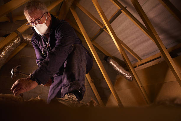 Best Professional Insulation Contractor  in Brownfields, LA